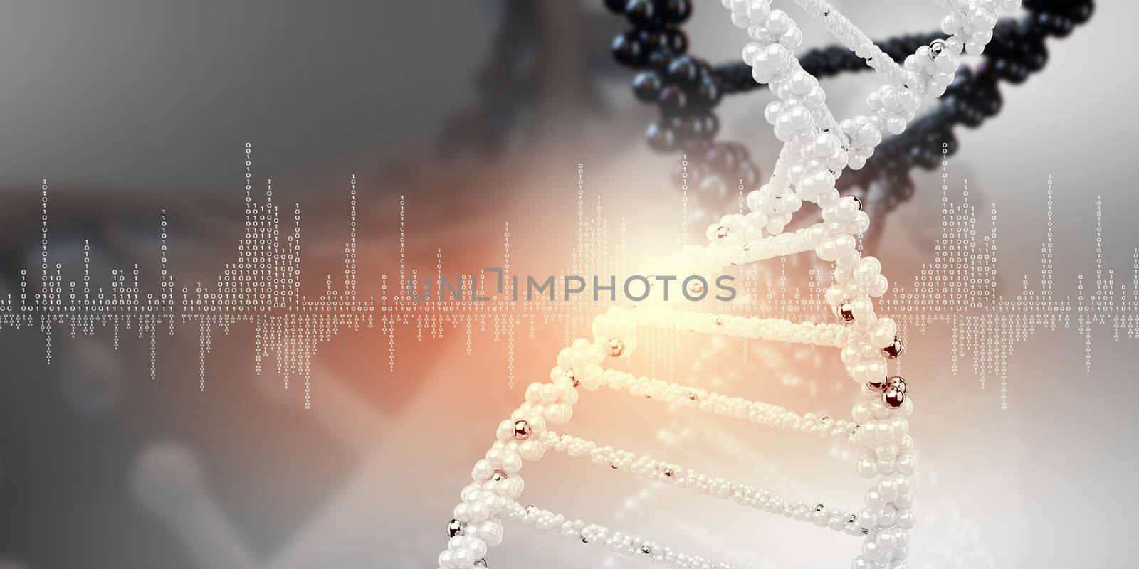 DNA molecule by sergey_nivens