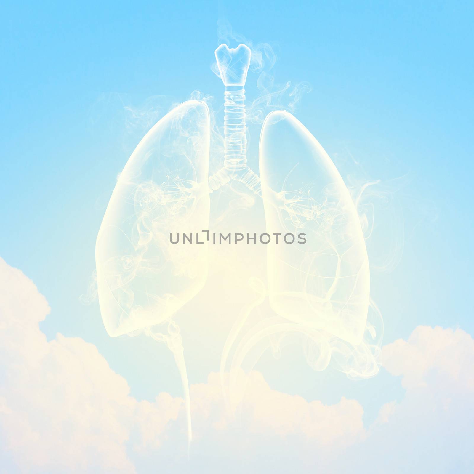 Schematic illustration of human lungs with the different elements on a colored background. Collage.