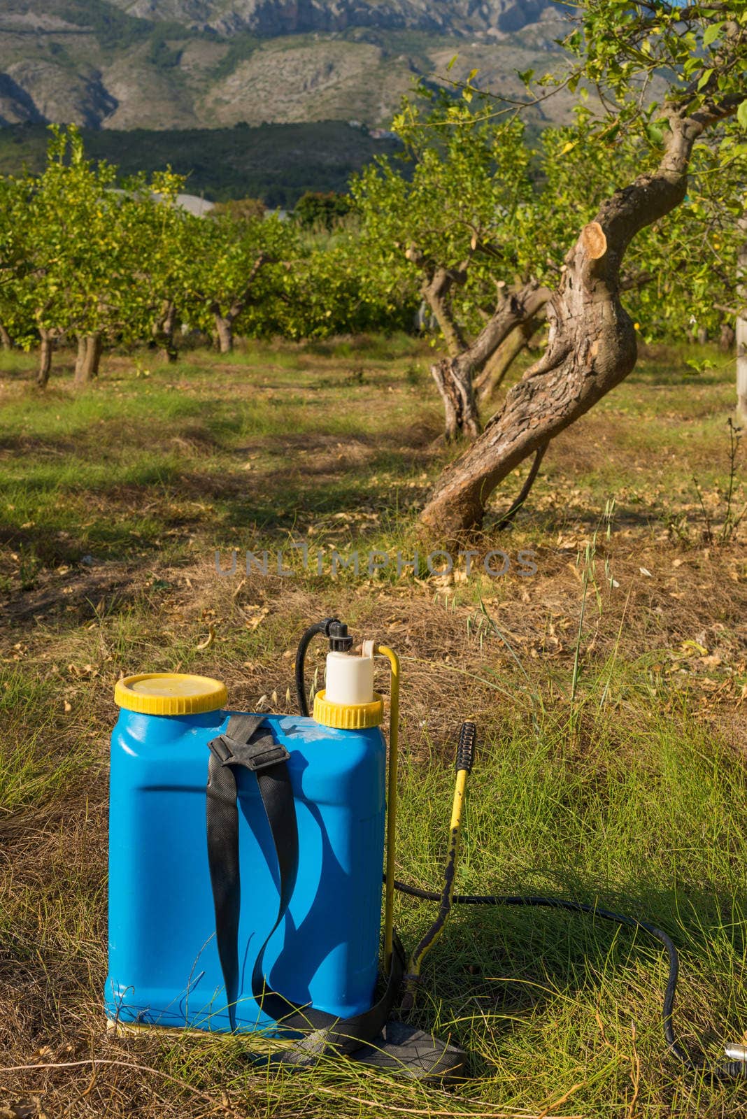 Pesticide sprayer against the background of an orchard