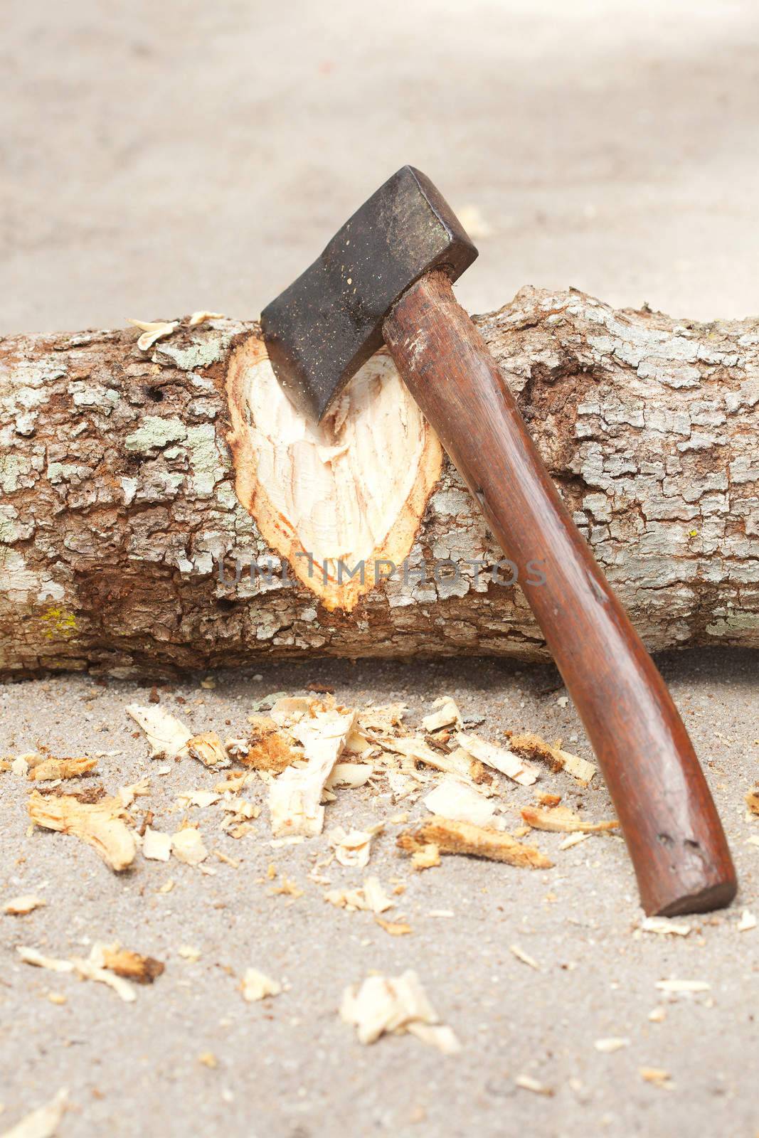 An ax chopping wood