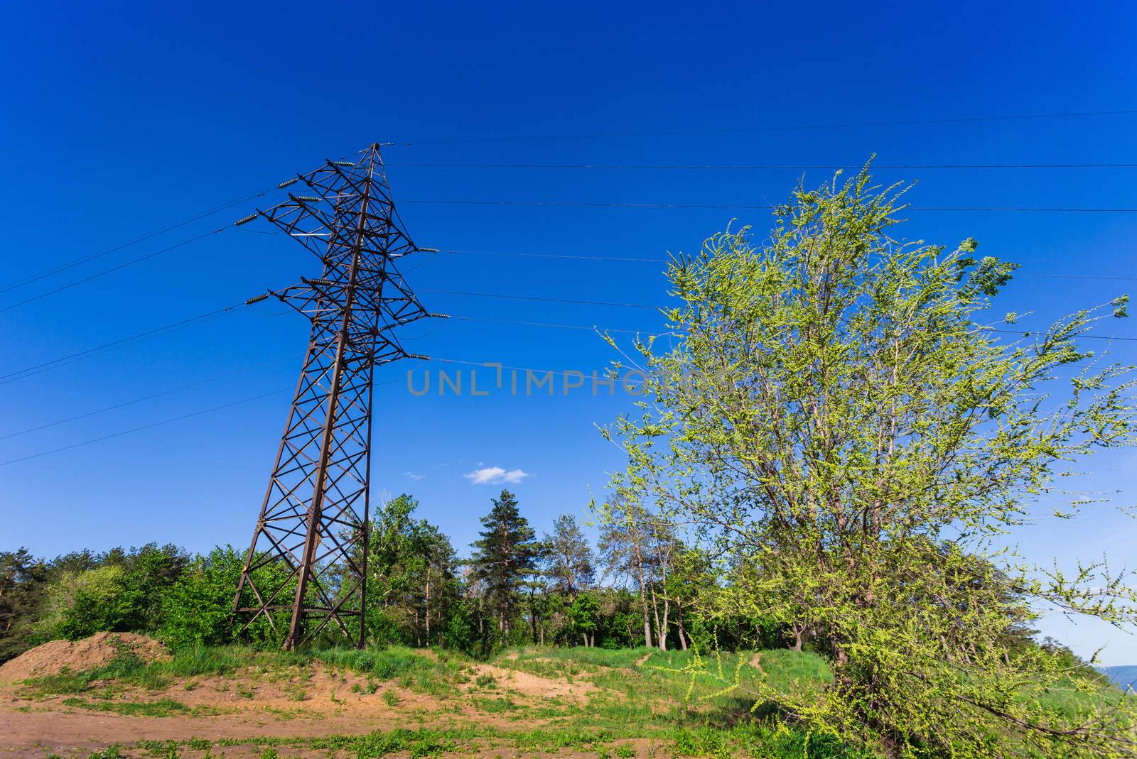 High-voltage power line by oleg_zhukov