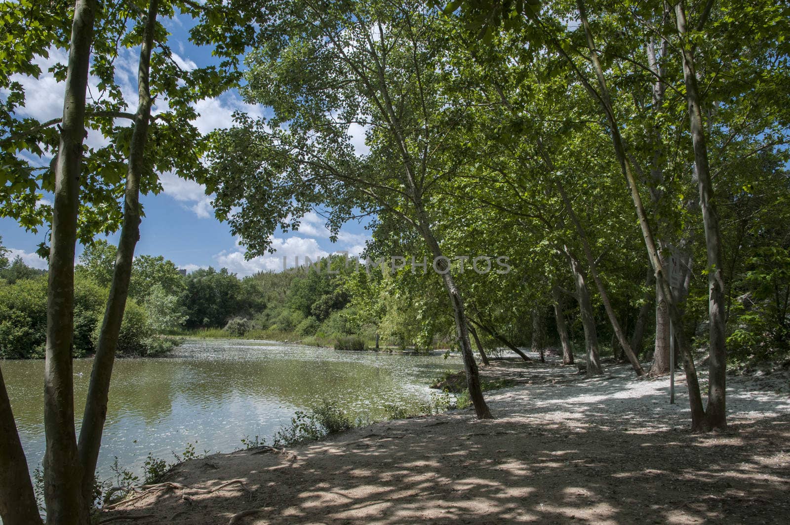 large lake with trees and blue sky