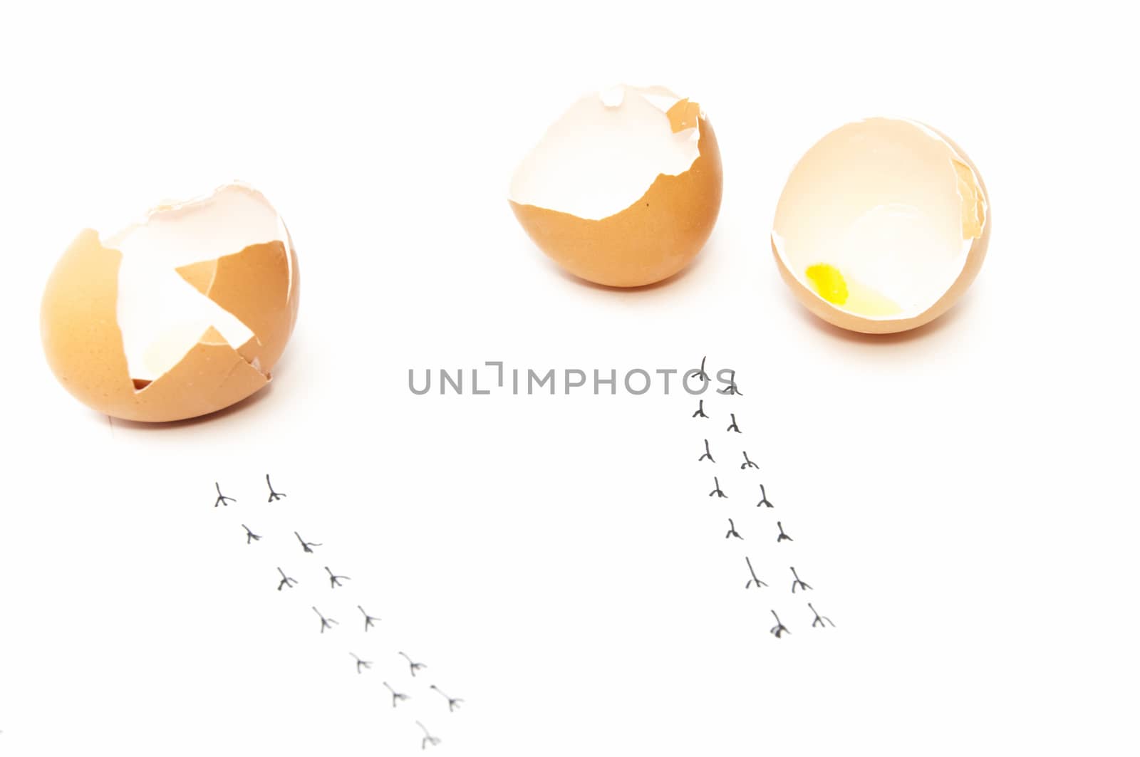 scrambled eggs with footprints on a white background
