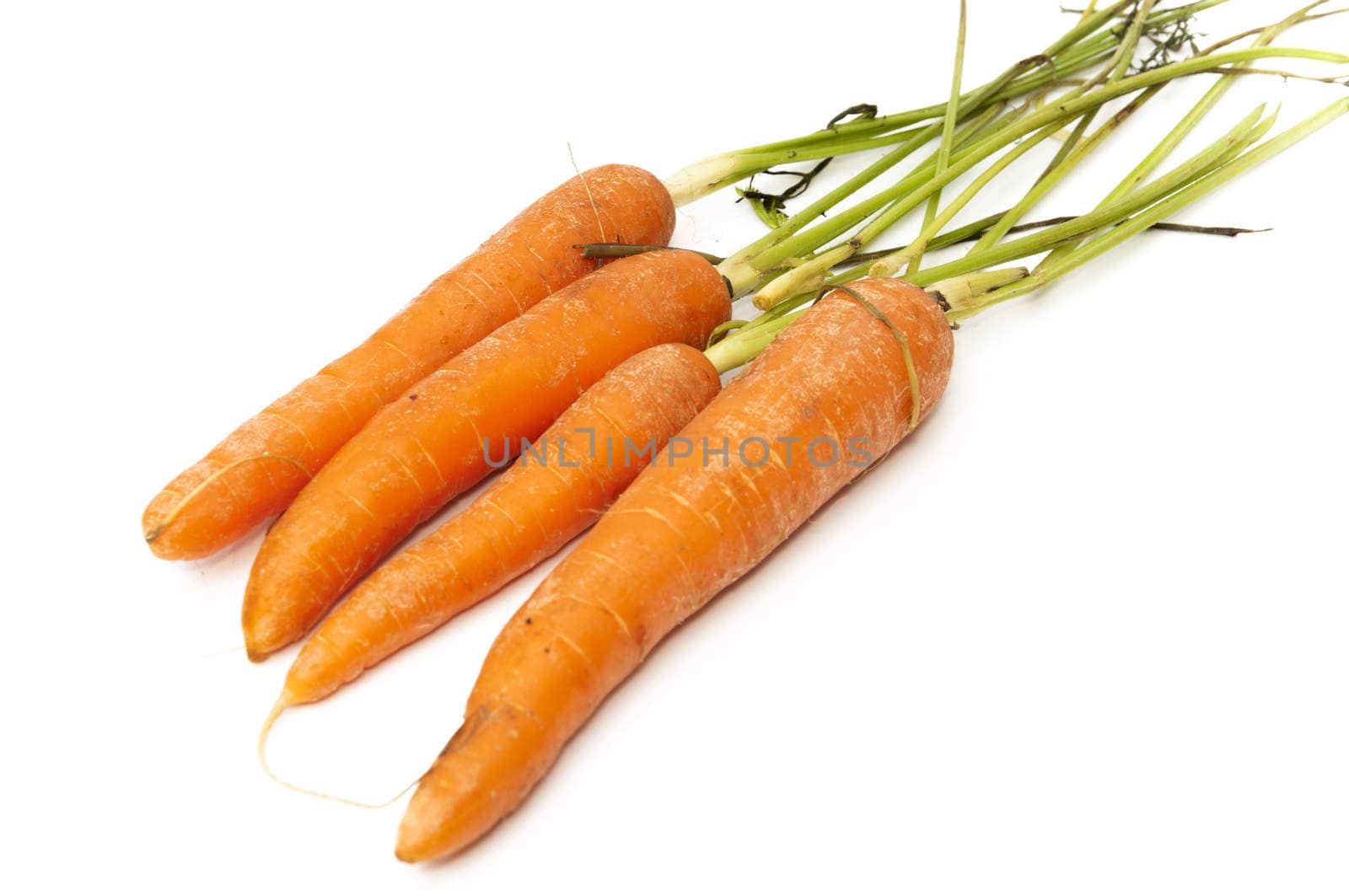 bunch of carrots on a white background