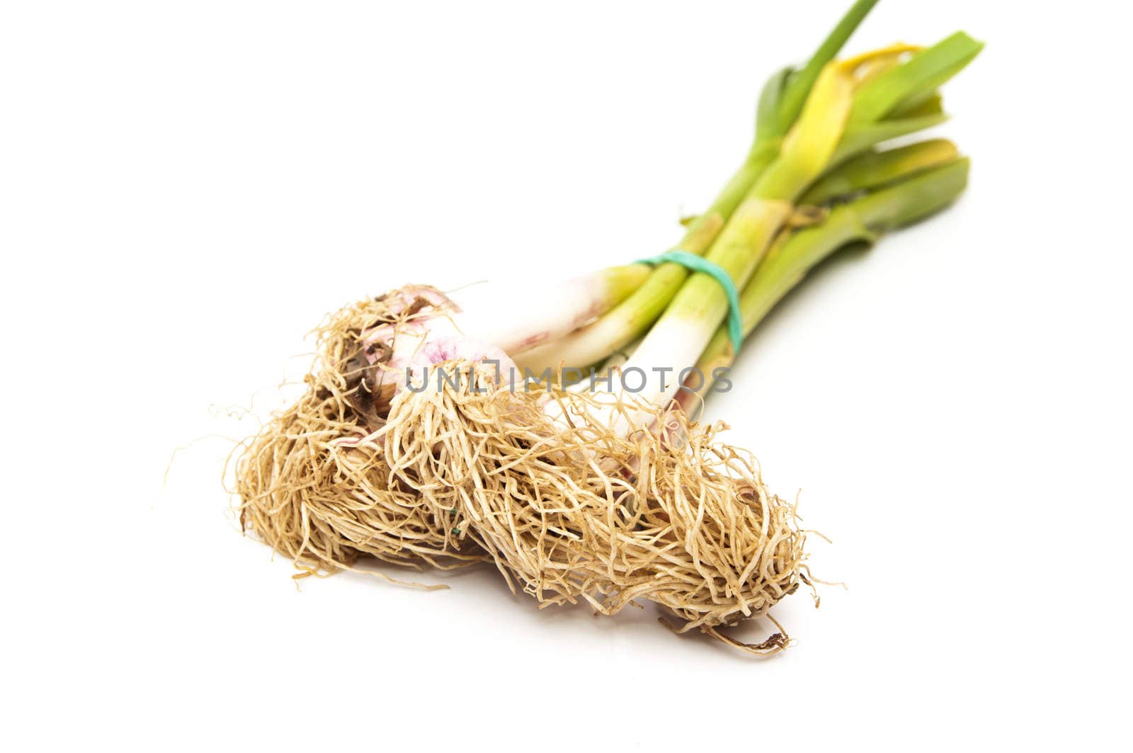 small onions bunch on a white background