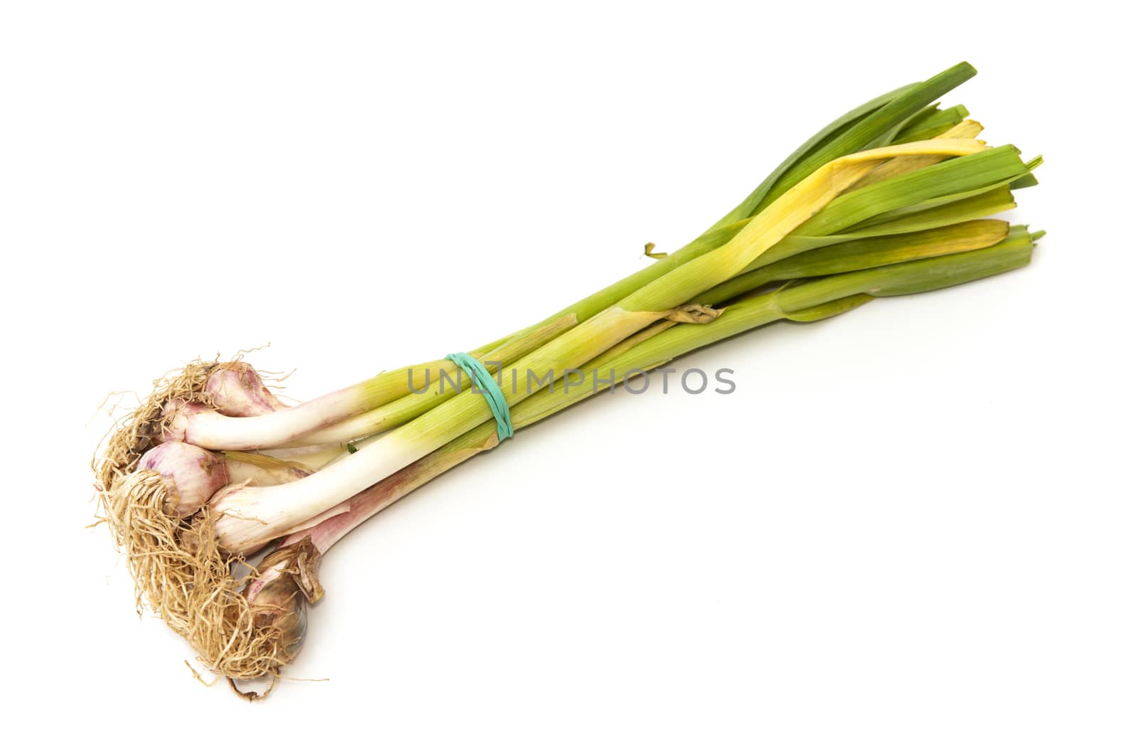 small onions bunch on a white background