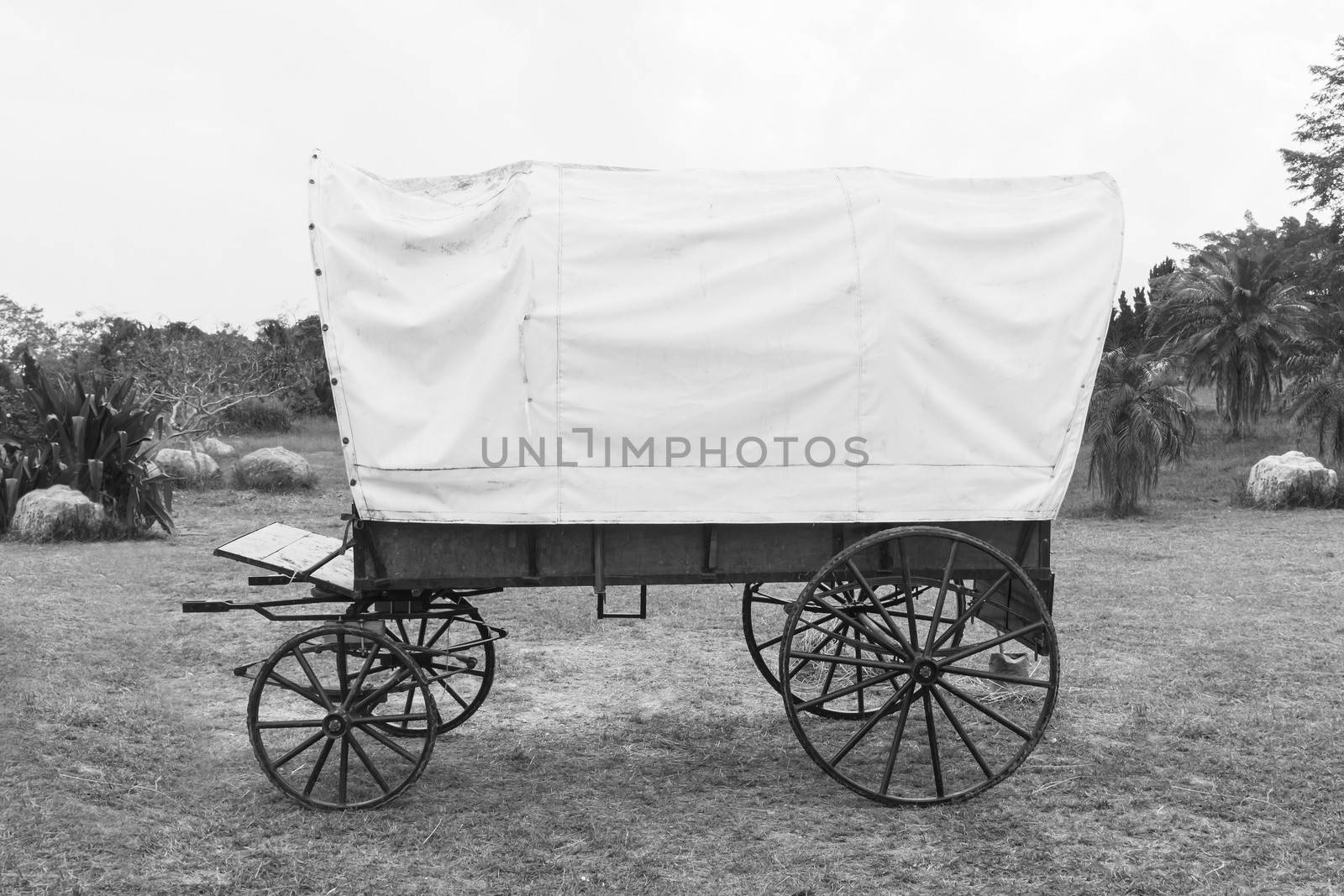 Black & White photo of old wagon wheels Covered wagon  in park