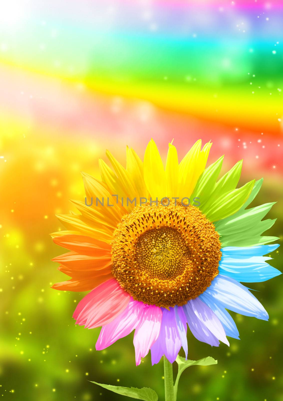 Sunflower painted in different colors by frenta