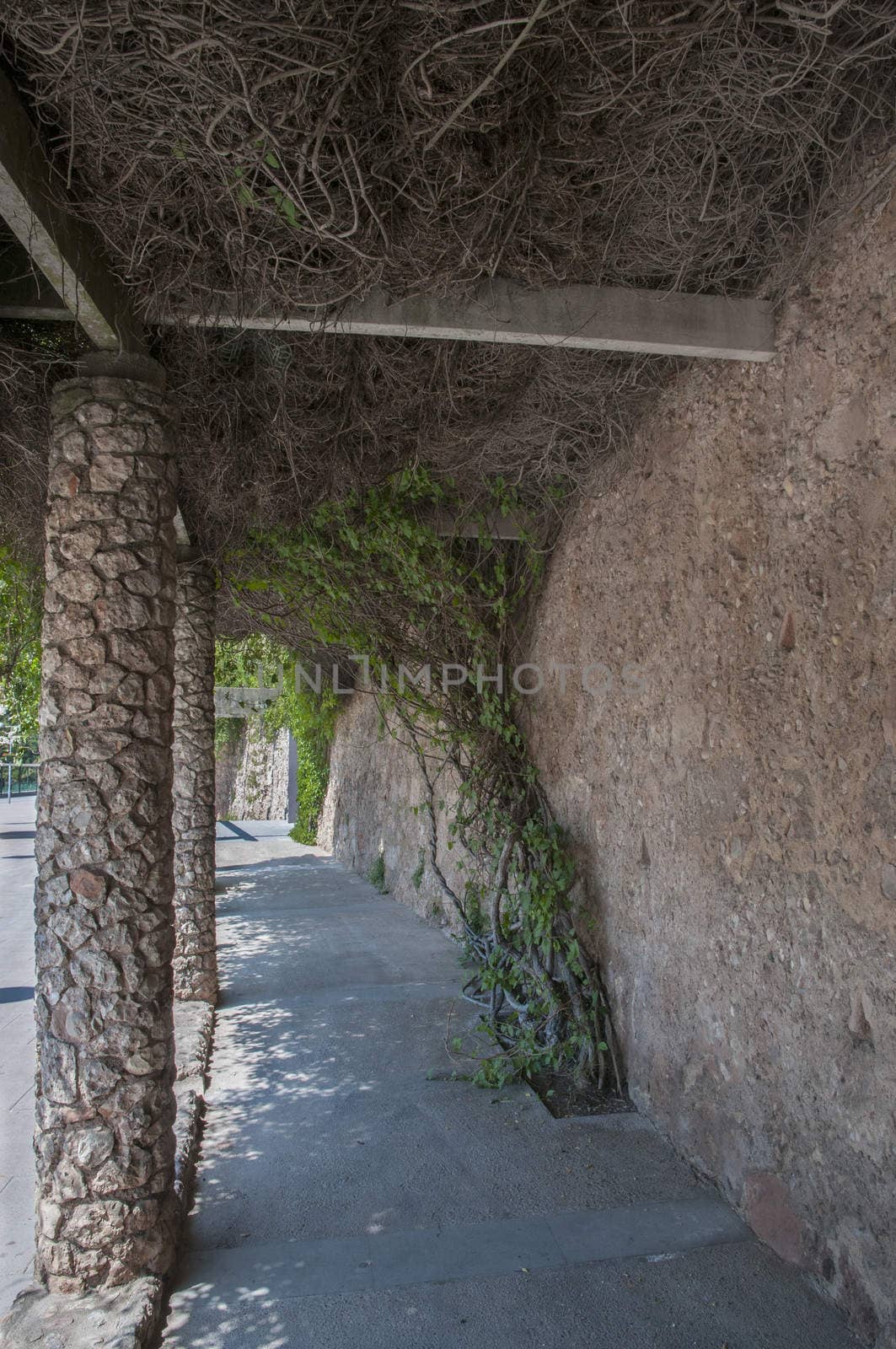 architectural stone and wood for shelter from the sun