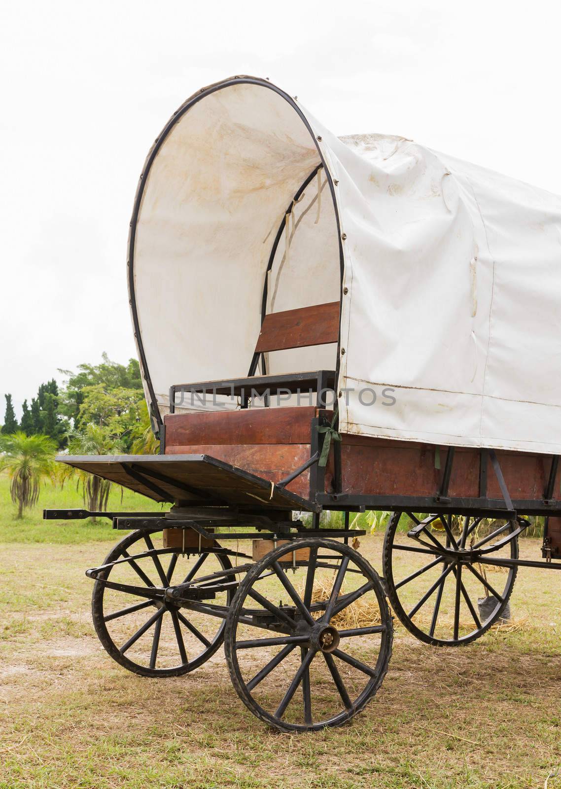 Covered wagon with white top in park