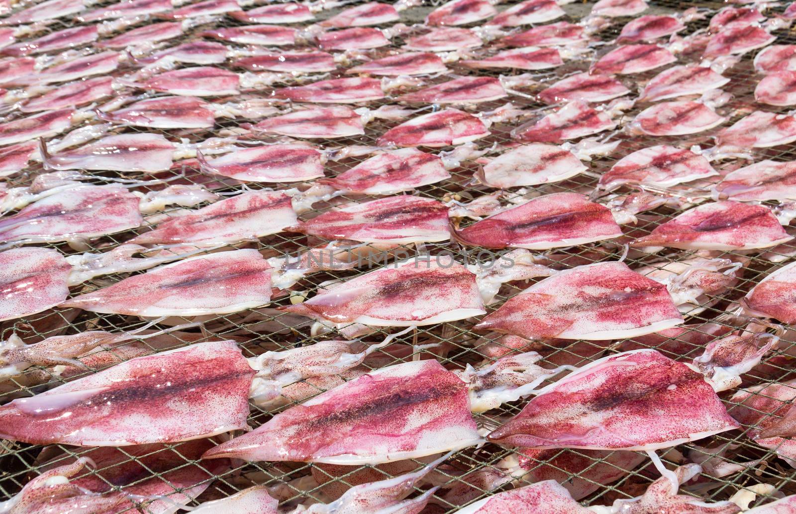 Squids placed in the strong sunshine to dry  on net in seafood market Thailand