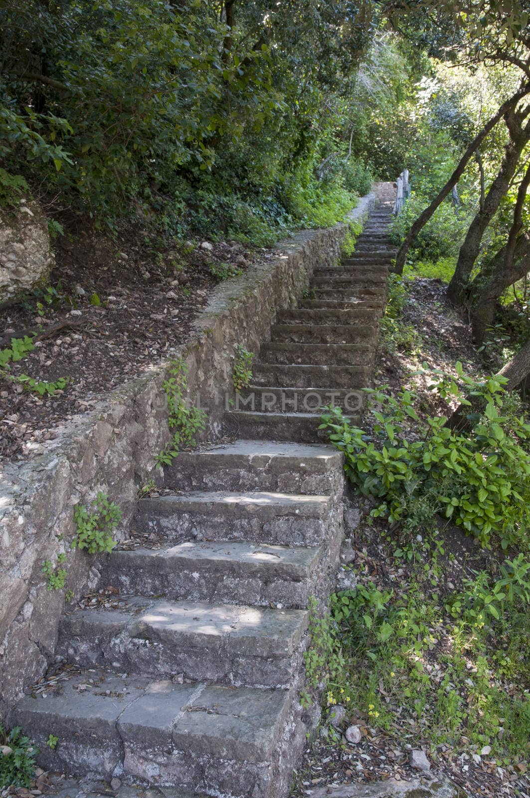 long stairway up the mountain