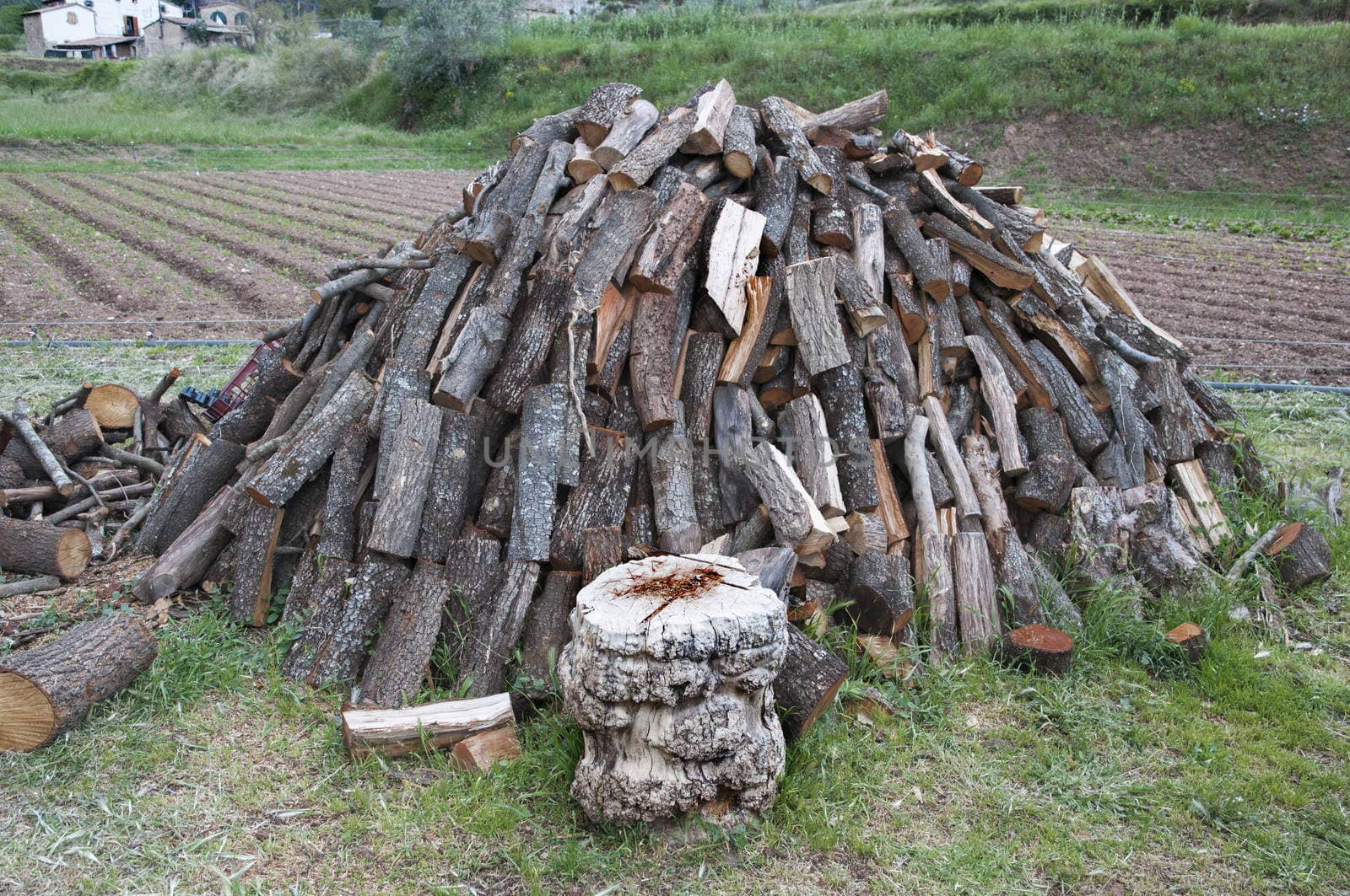 pile of logs ready to cut into small pieces
