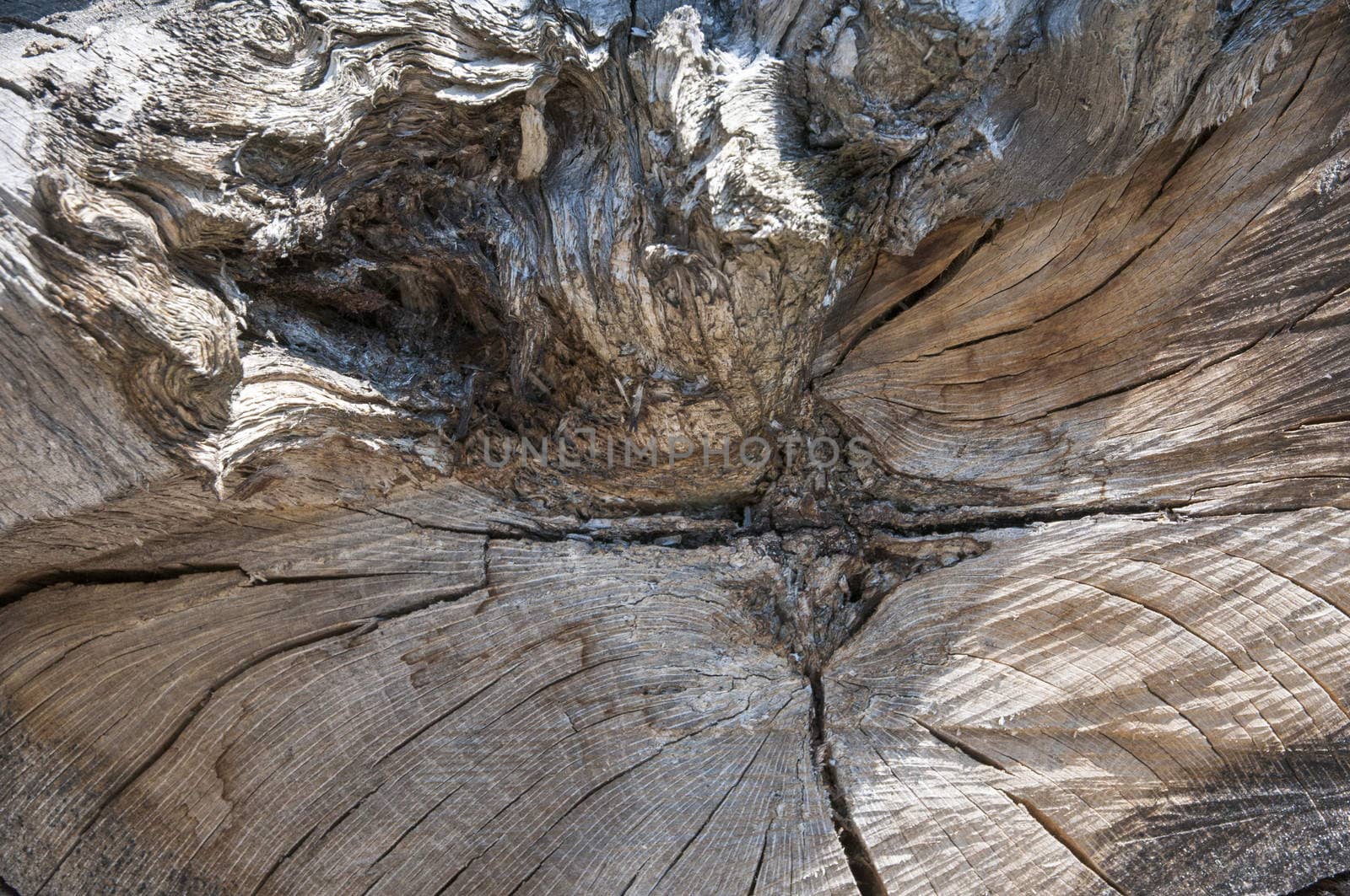 wood background with streaks