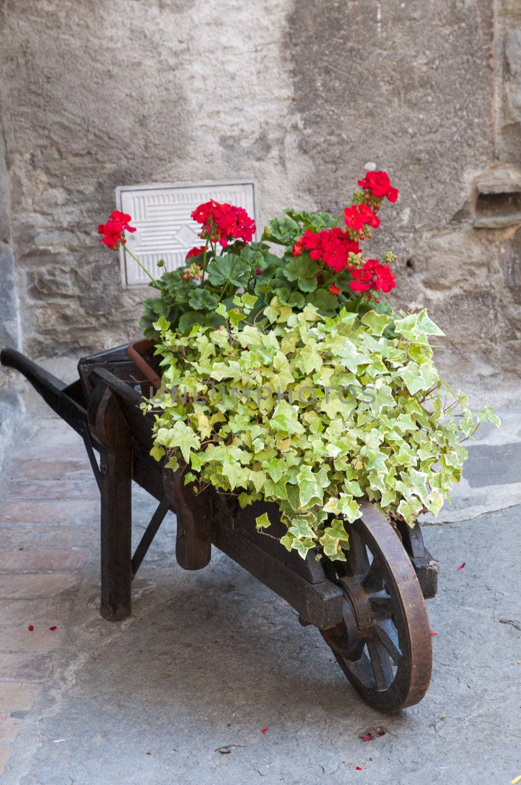 wheelbarrow with flowers by arnau2098