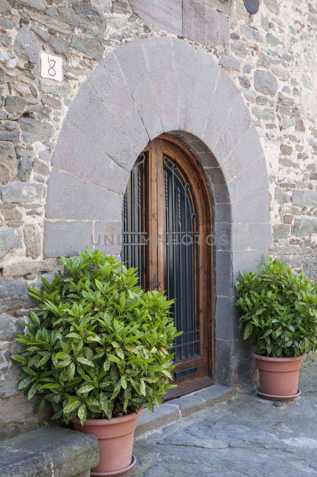 decorative door with plants