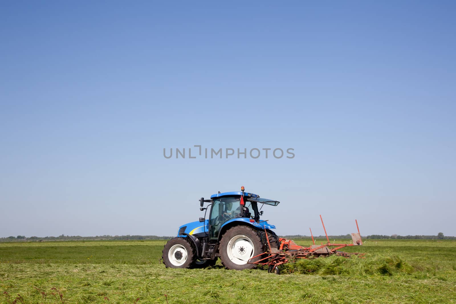 turning grass for drying with tractor in dutch meadow