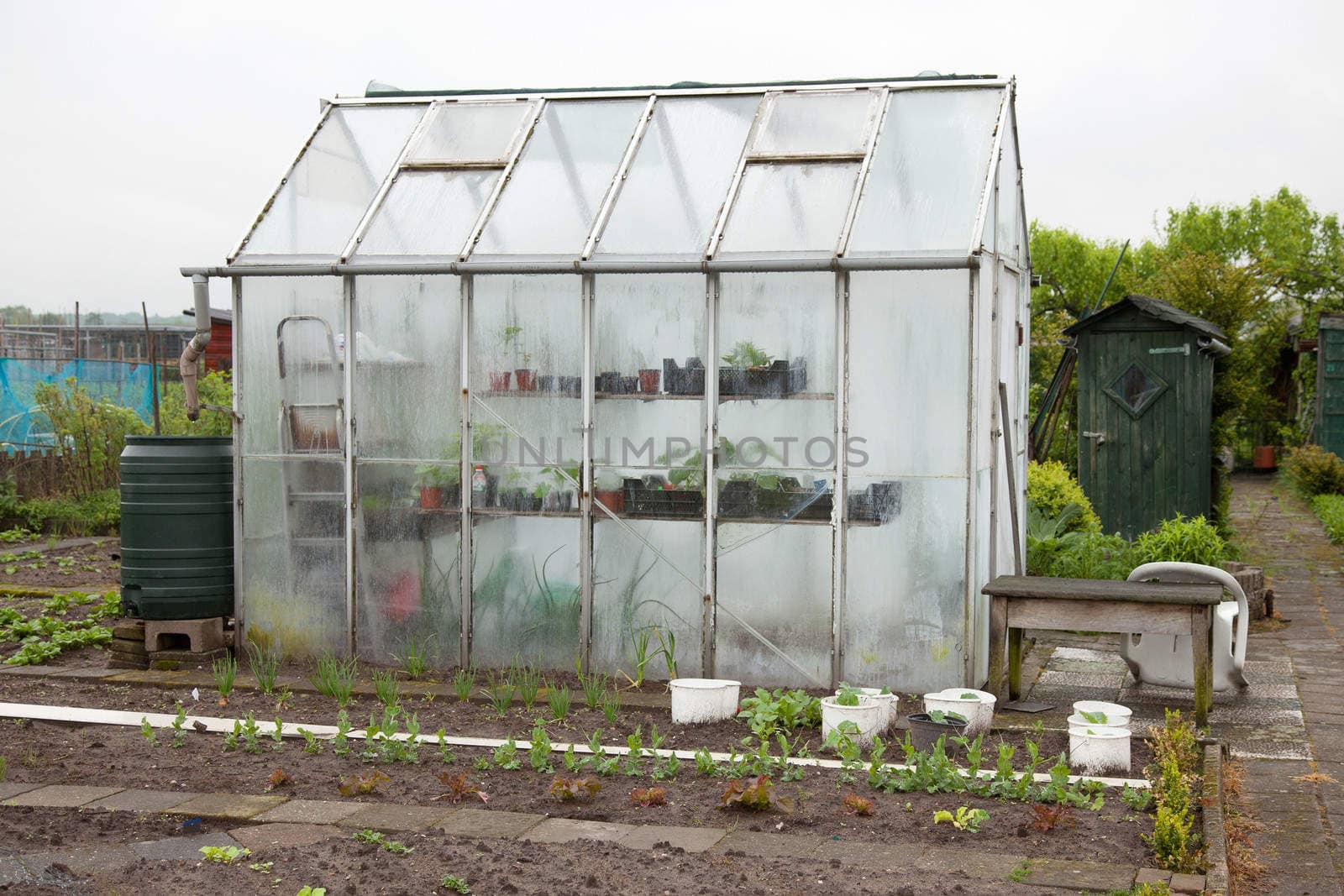 greenhouse with water tank and vegetable garden in spring