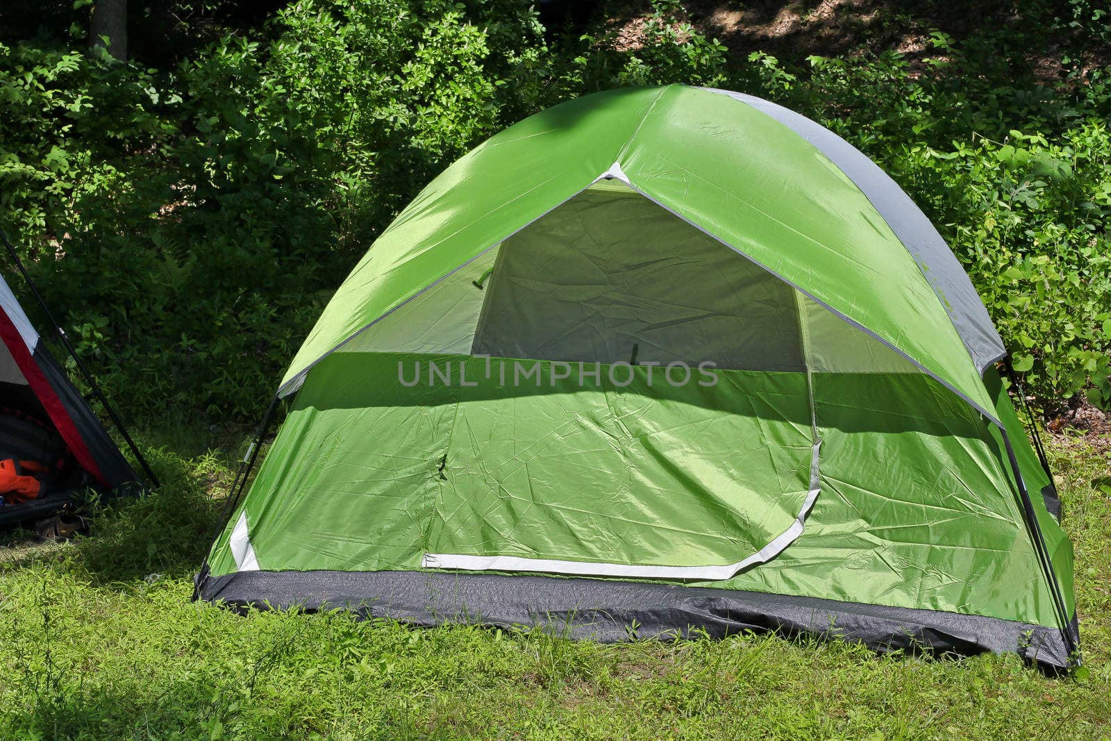 Camping outdoor with green tent