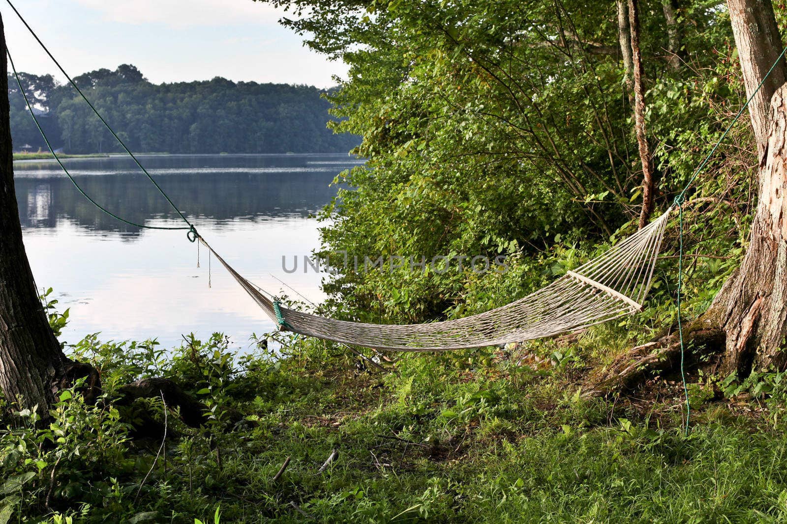 Hammock near water with green landscape around