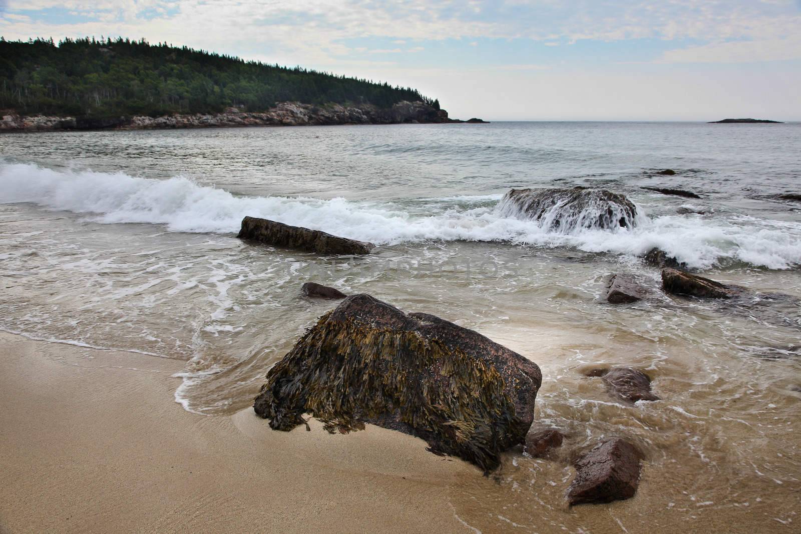 Coastline in Acadia NP from Sand beach