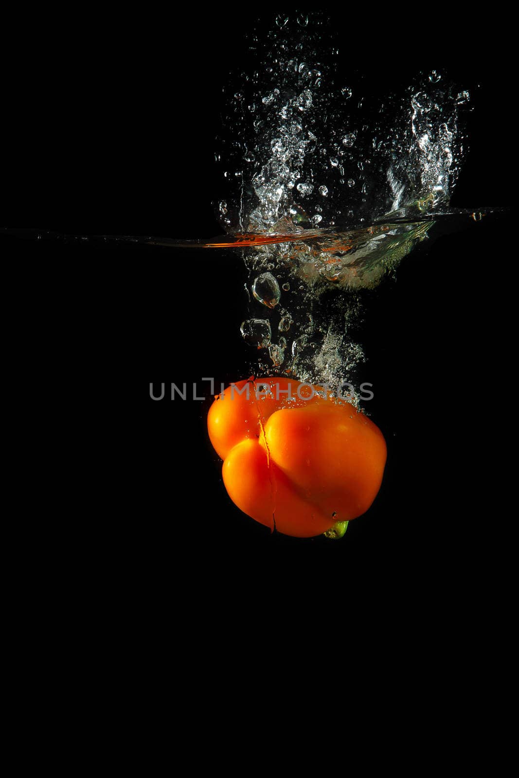 Colored orange paprika in water splashes on black background