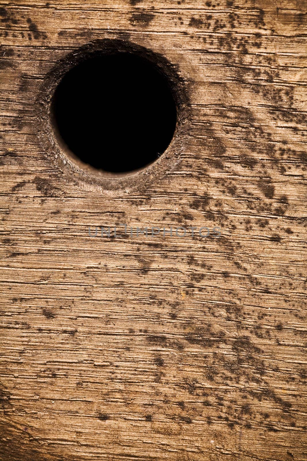 abstract wood background