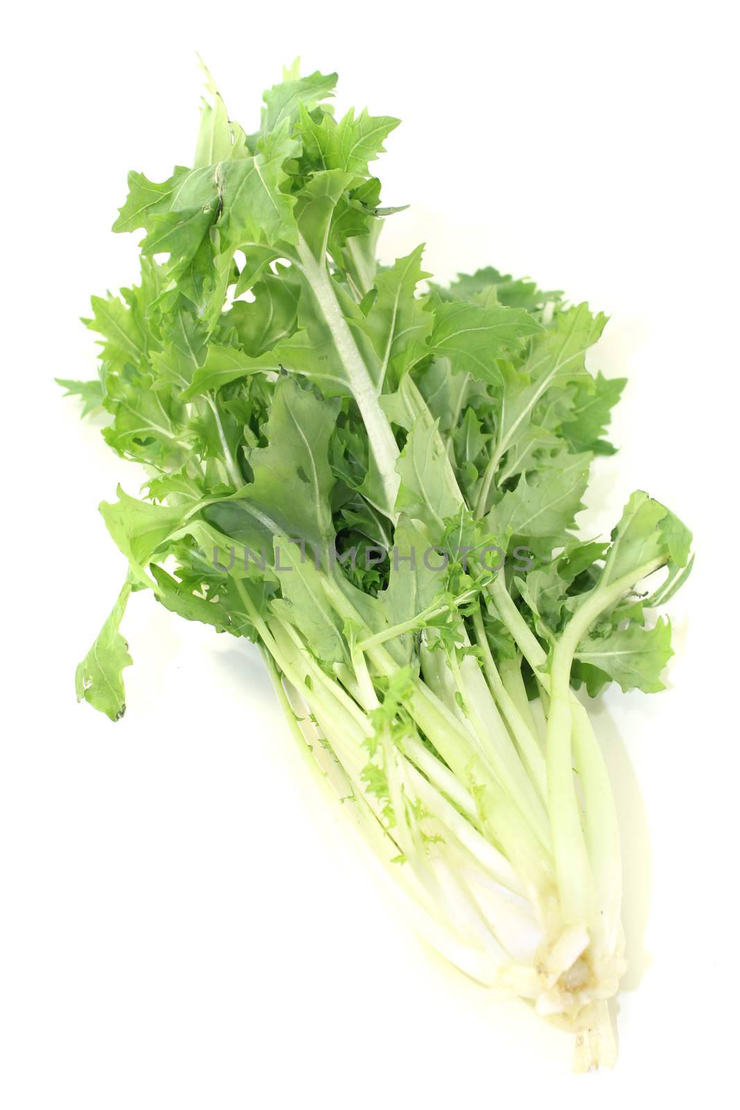 Turnip green leafs on a bright background