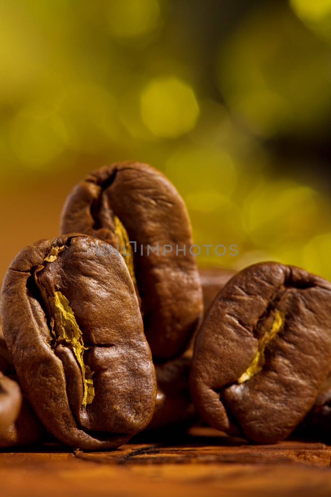 coffe macro by mihalec