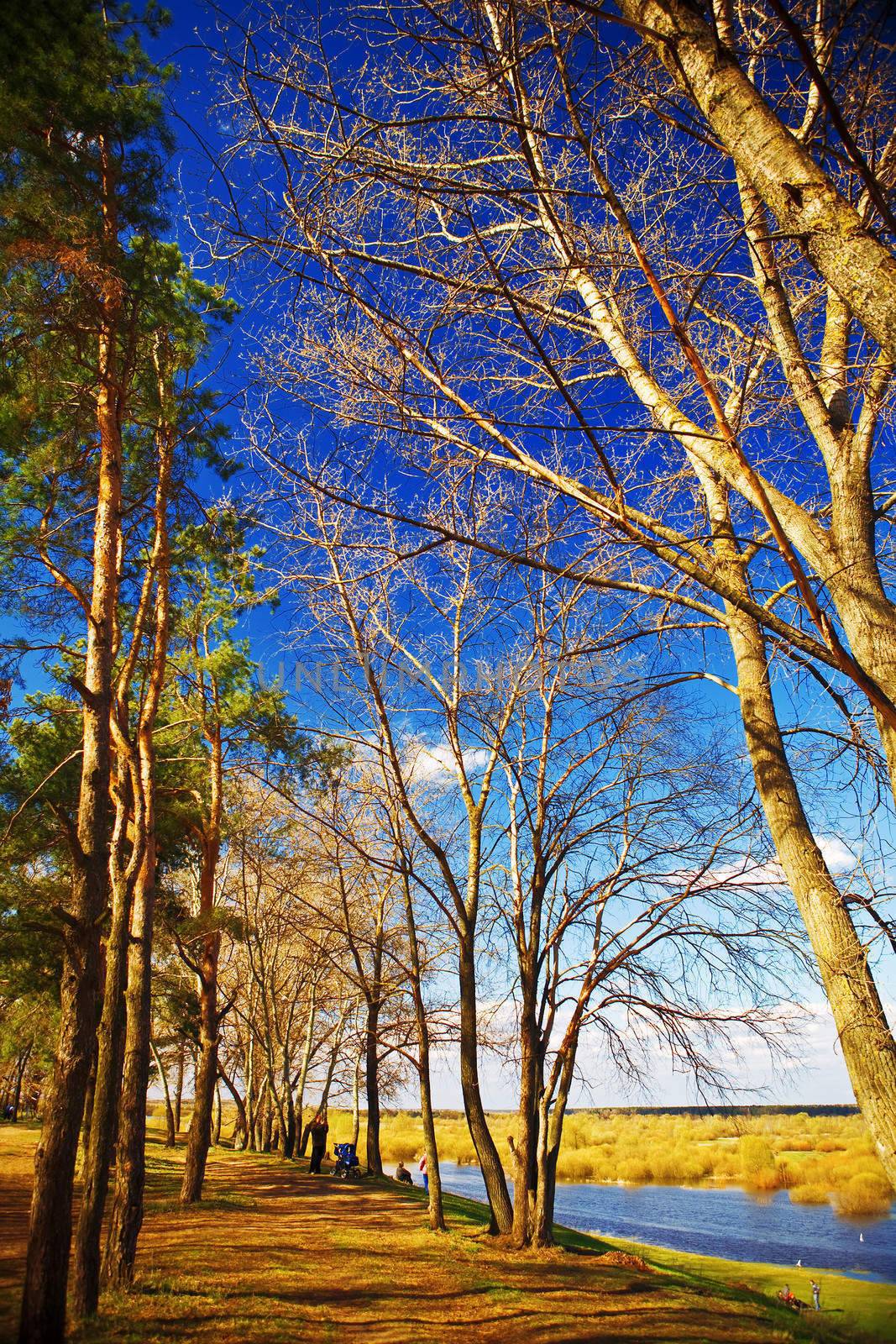 park on lake