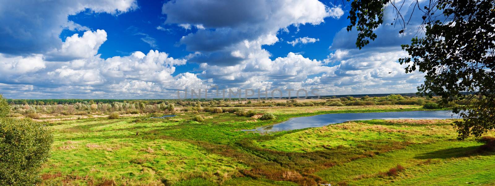 panorama of autumn meadow by mihalec