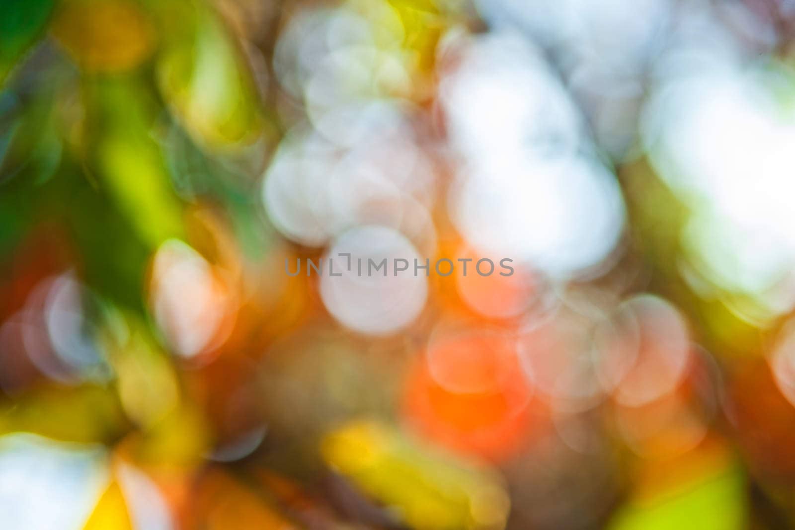 autumn bokeh