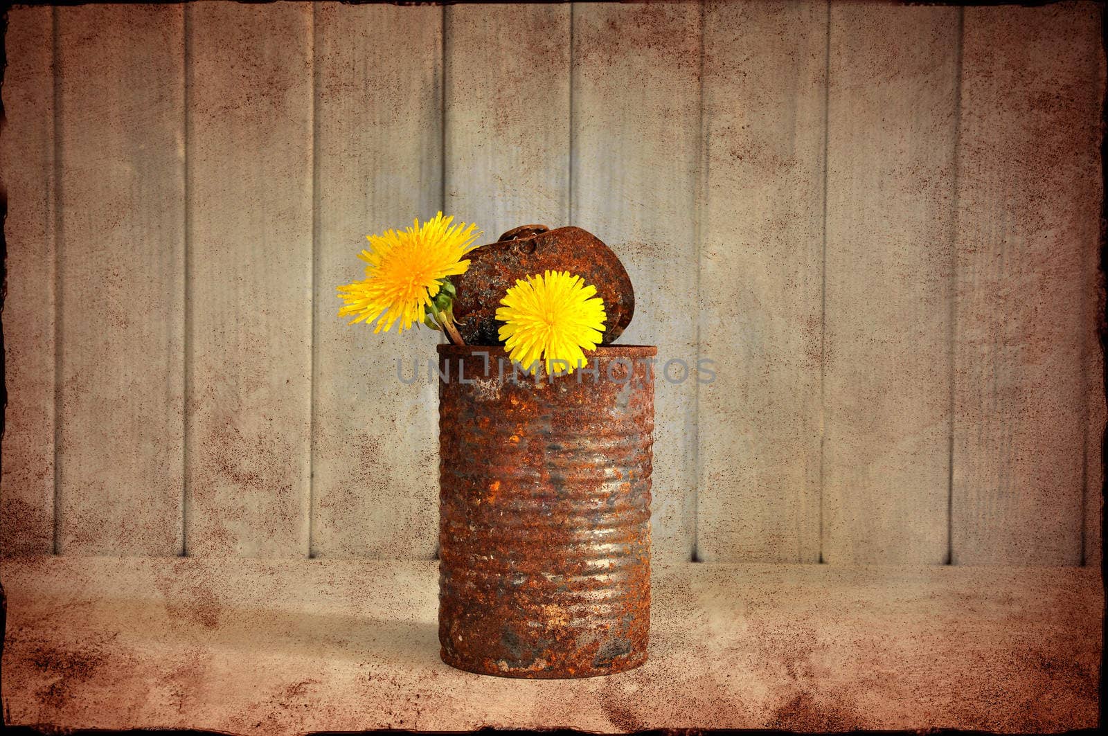 Two yellow flowers in a rusty tin can, grungy style.