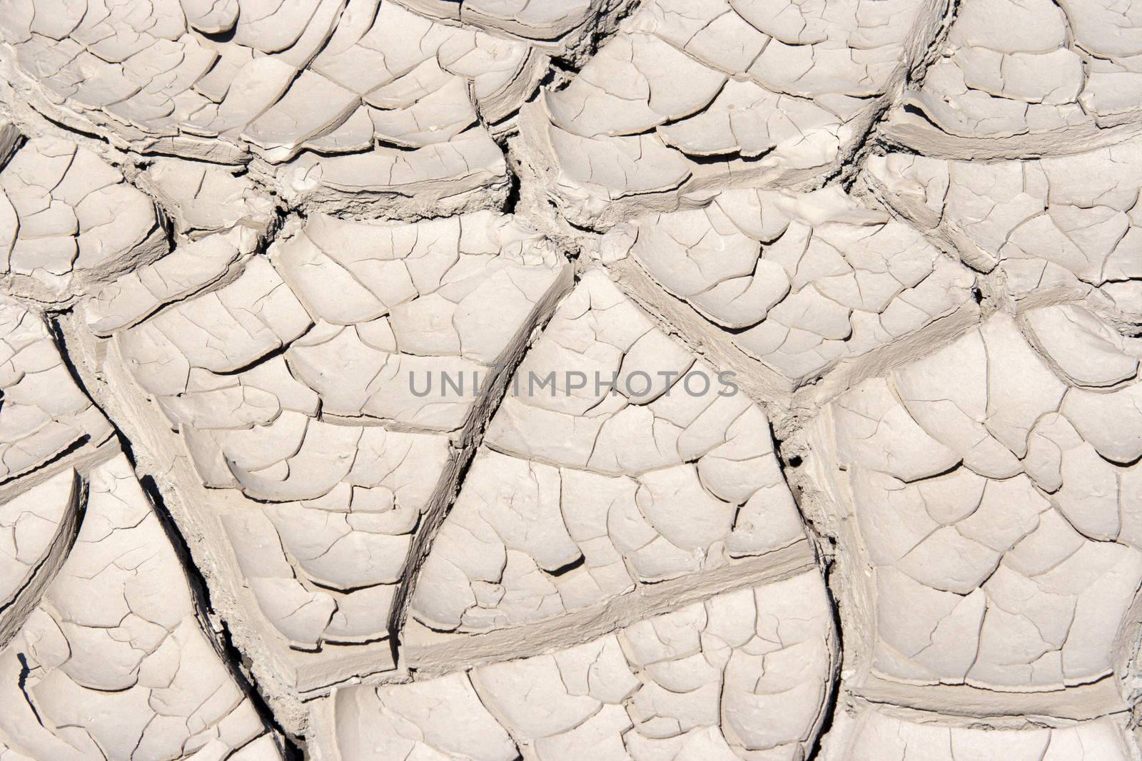 Detail of the cracked ground - dry season

