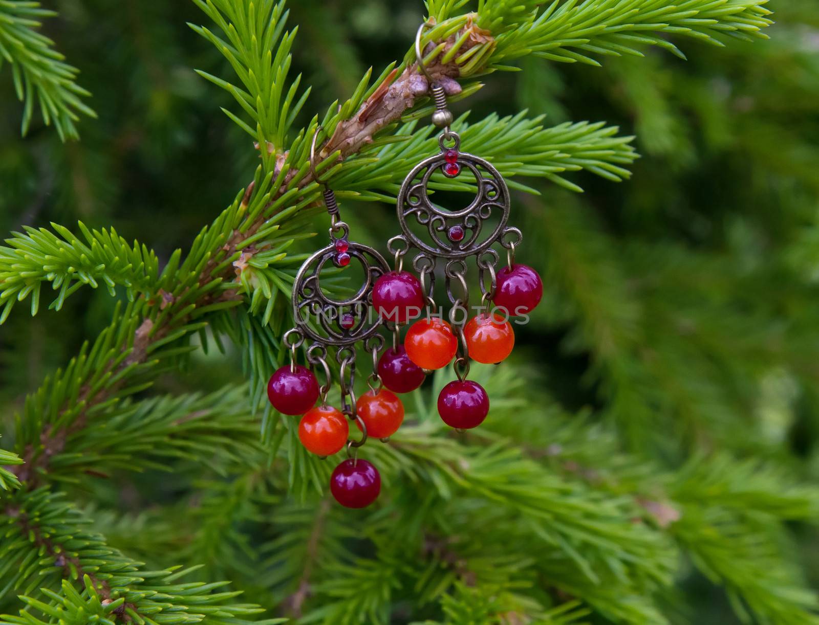 Earrings in glass yellow- orange  berries on a green spruce branches