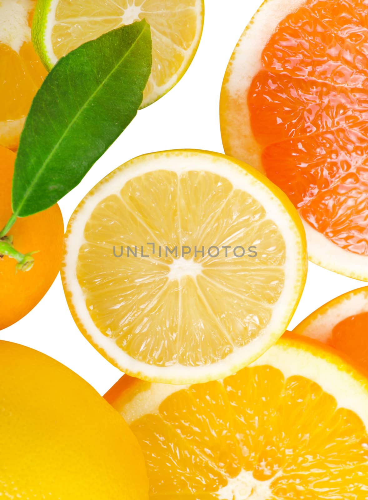 Mix of citrus slice isolated on white
