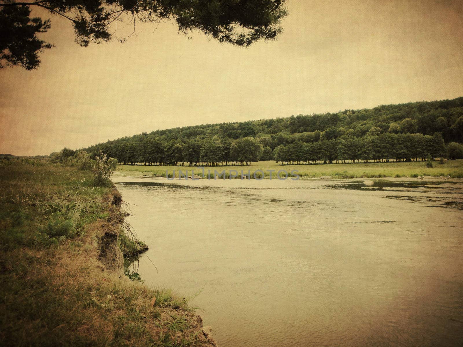 Vintage nature background