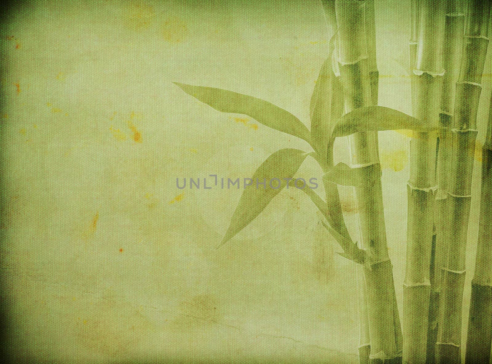 grunge bamboo background