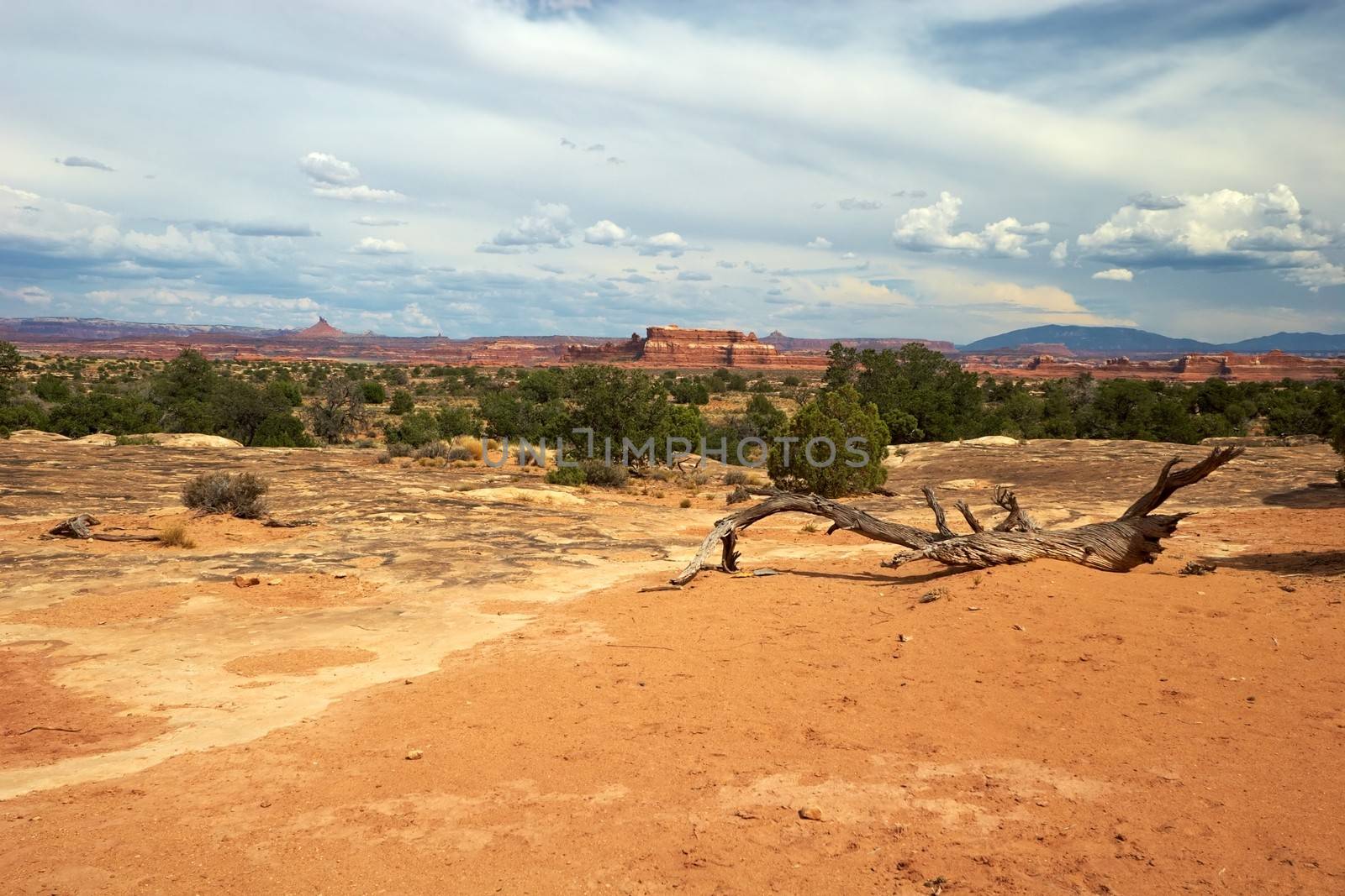 Red Desert, Canyonlands National Park, Utah, USA