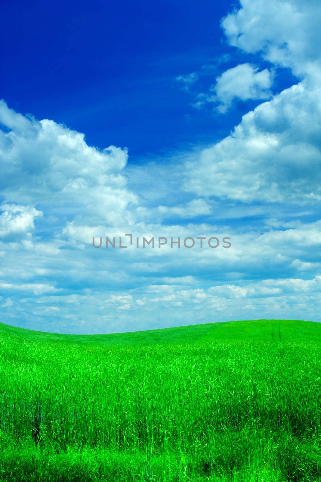 field and sky