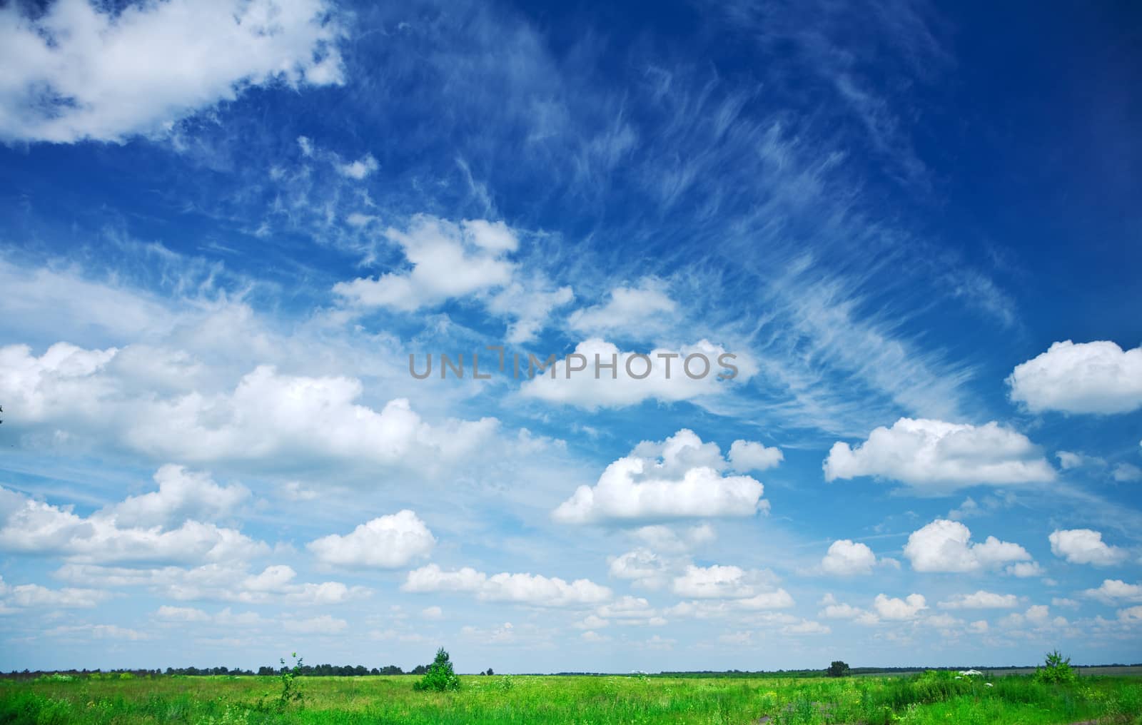 field and sky