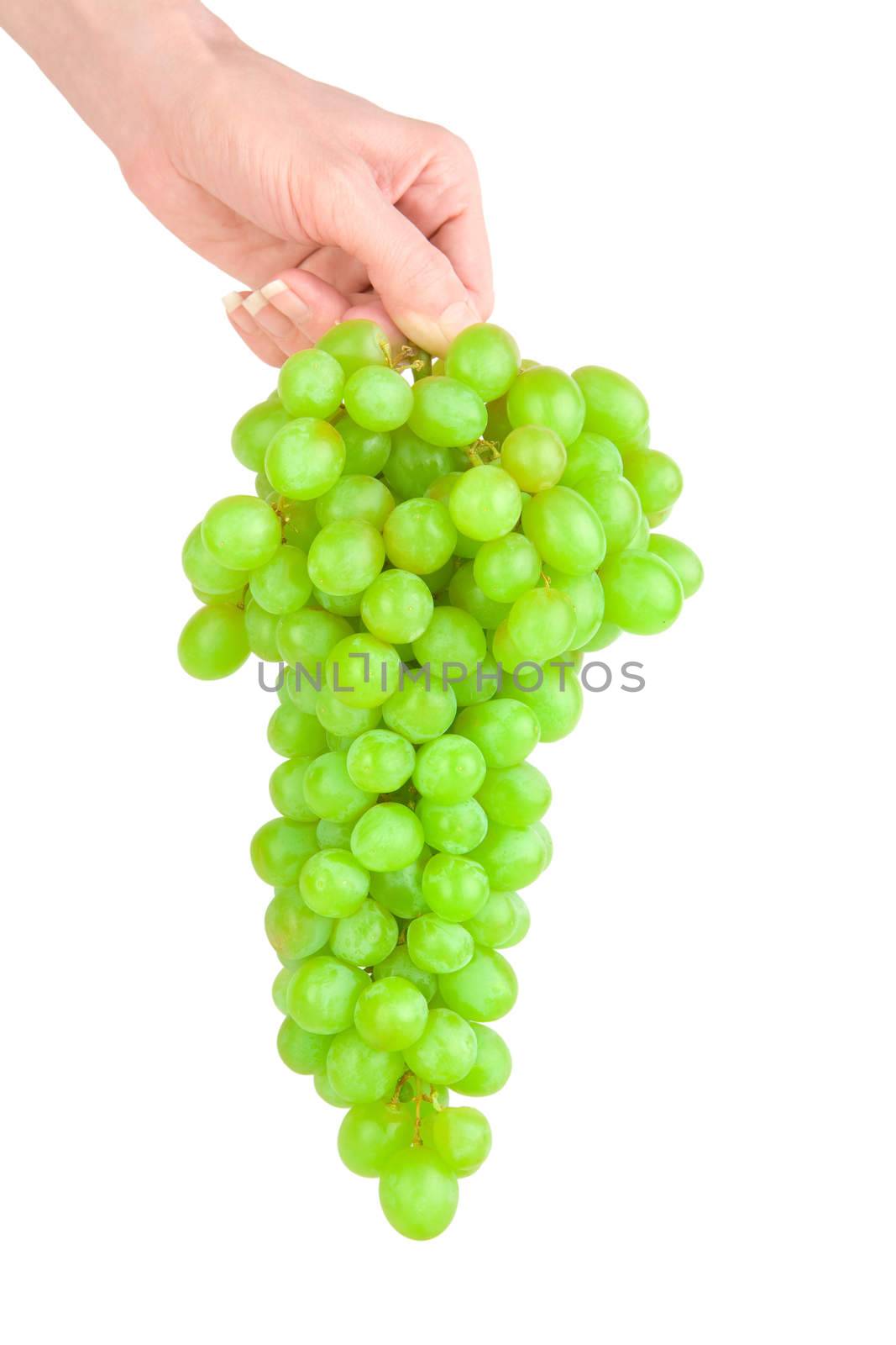 grape on a hand isolsted