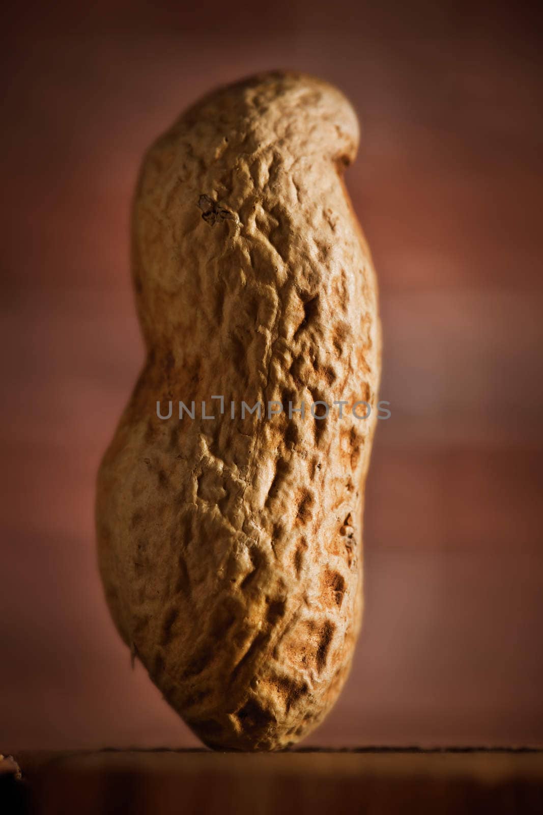 peanut macro