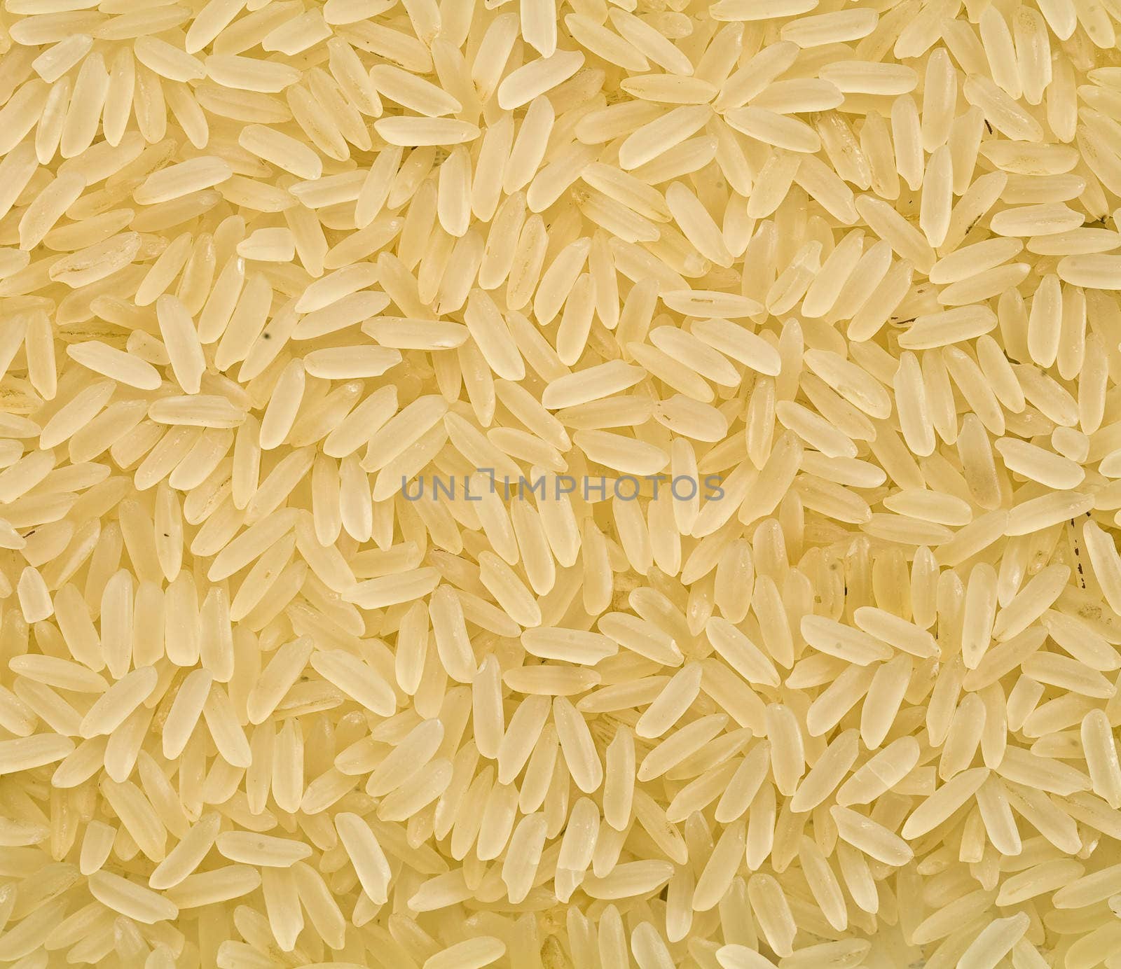 rice closeup
