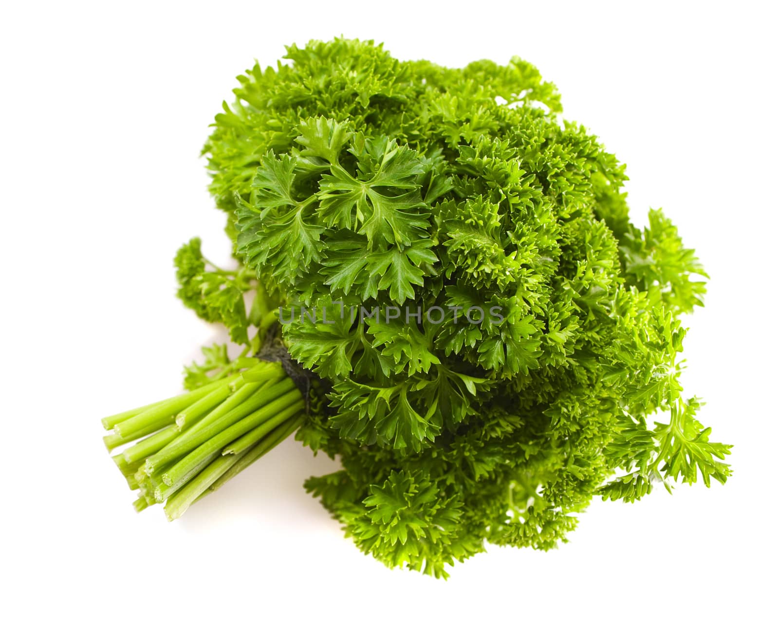 isolated big banch of a parsley