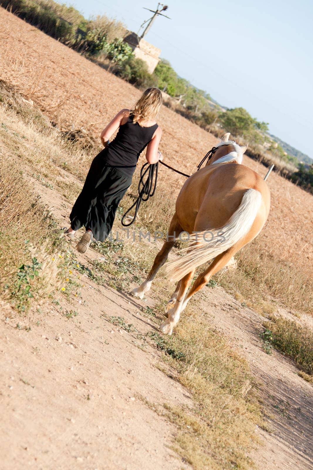young woman walking away in sunset with horse summertime