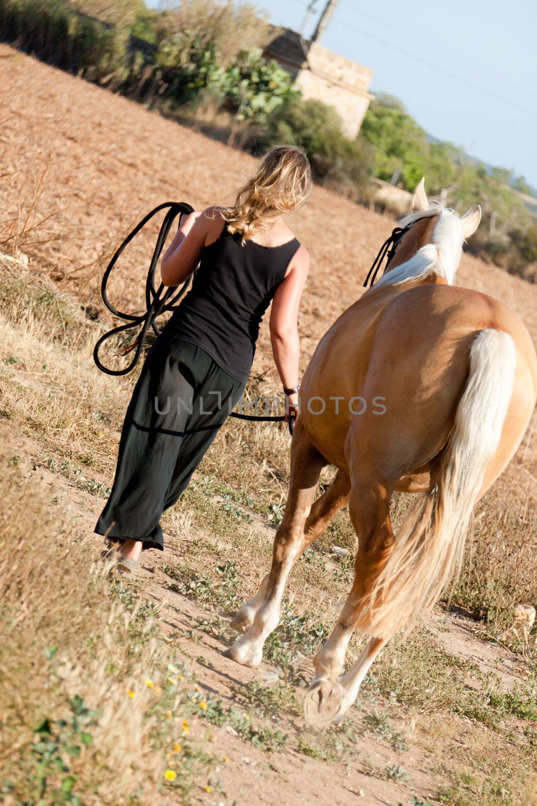 young woman walking away in sunset with horse summertime