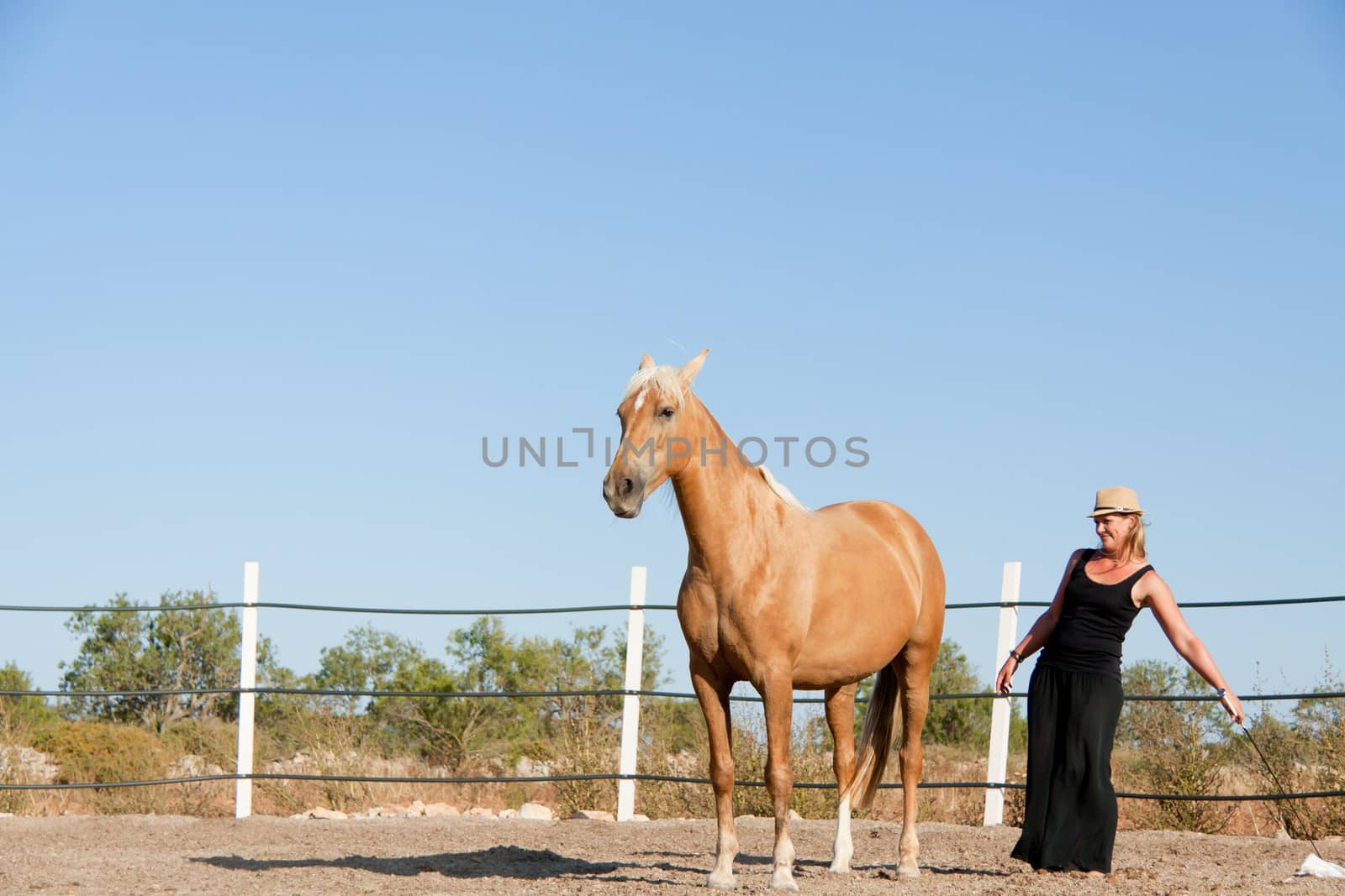 young woman training horse outside in summer choreography 