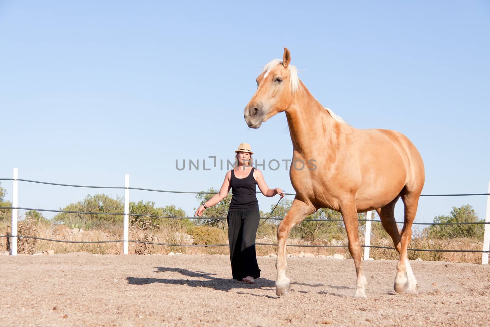 young woman training horse outside in summer choreography 