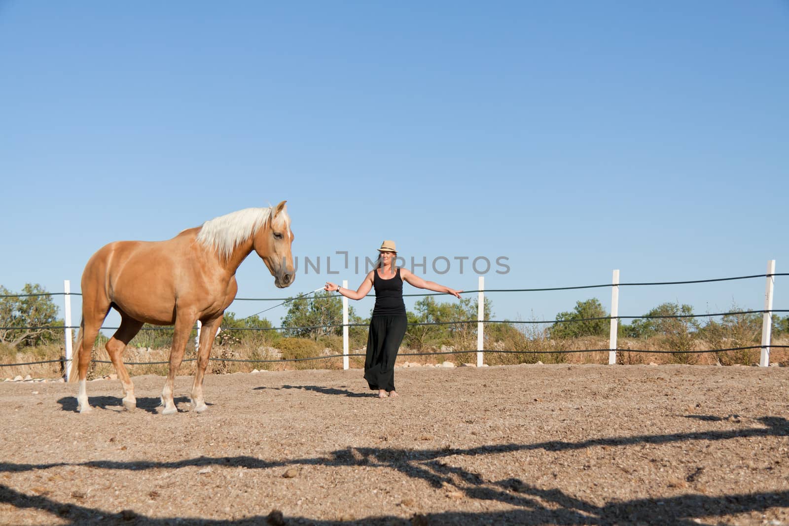 young woman training horse outside in summer choreography 